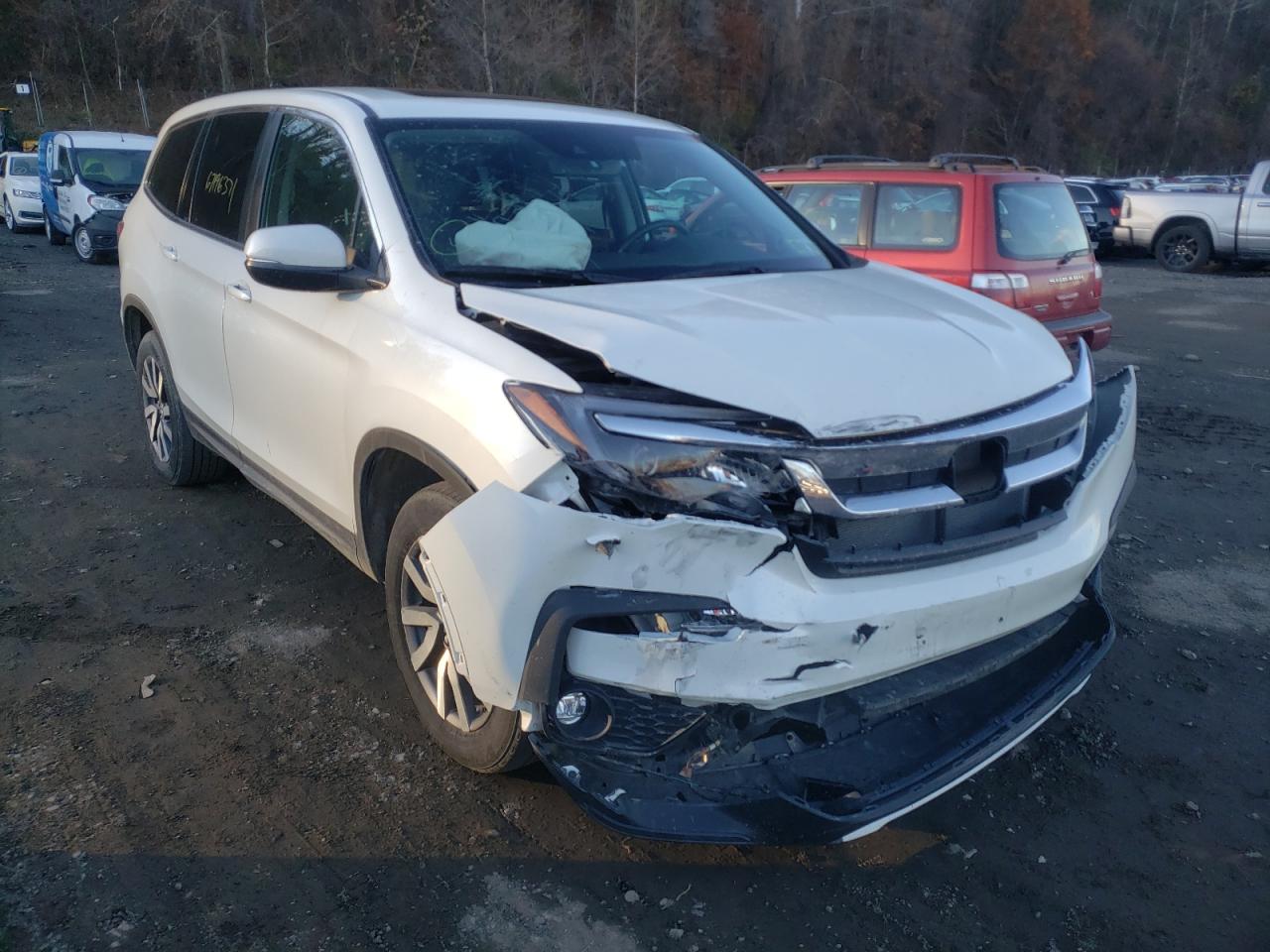 HONDA PILOT EXL 2019 with VIN 5FNYF6H59KB007053 - Photo from auction