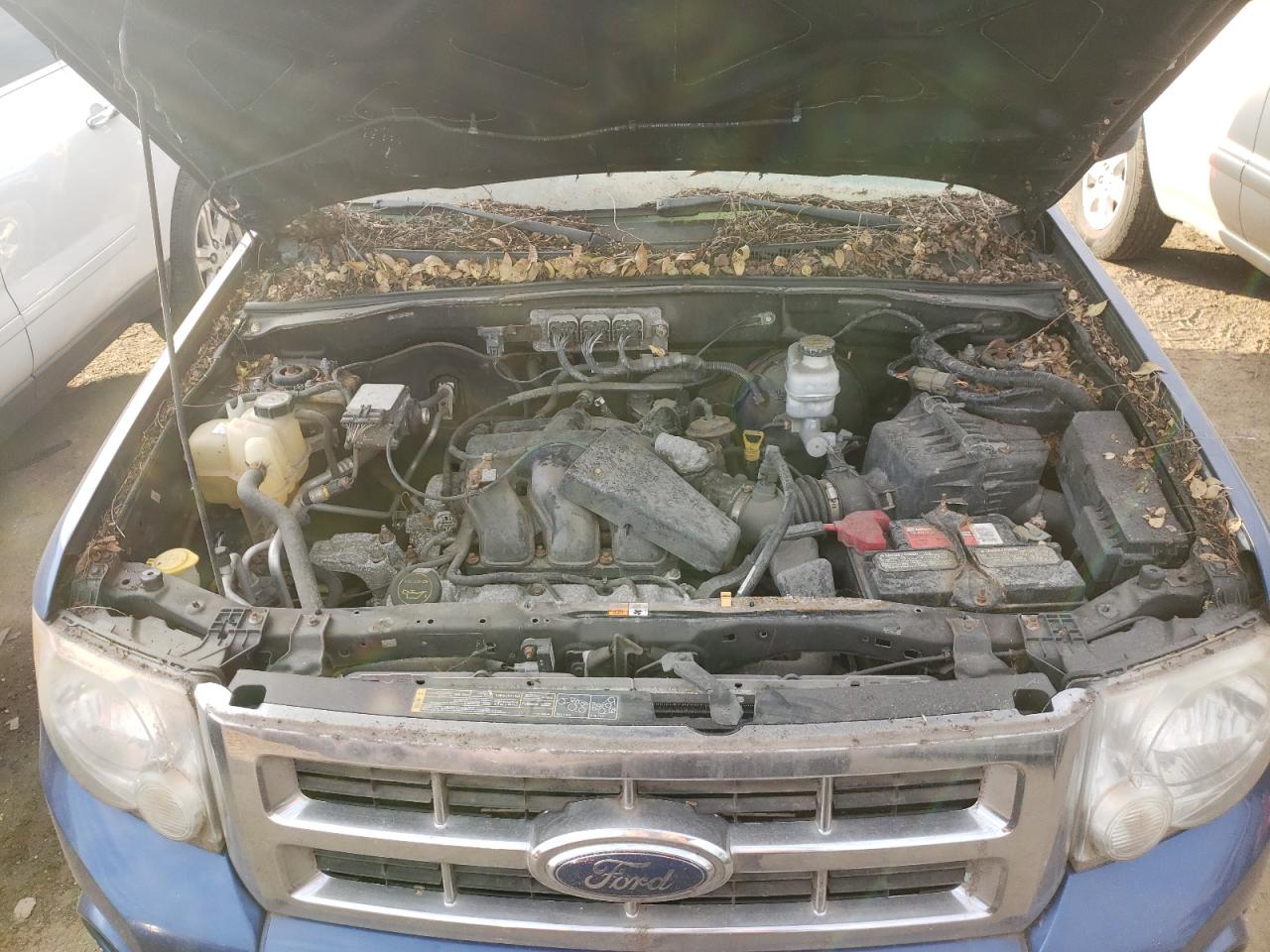 Photo 7 from auction – 2008 FORD ESCAPE XLT with VIN 1FMCU031X8KB76197