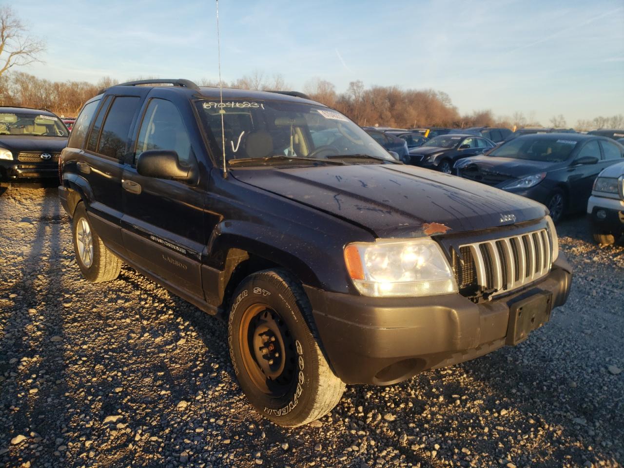 JEEP GRAND CHER 2004 with VIN 1J4GW48SX4C397628 - Photo from auction