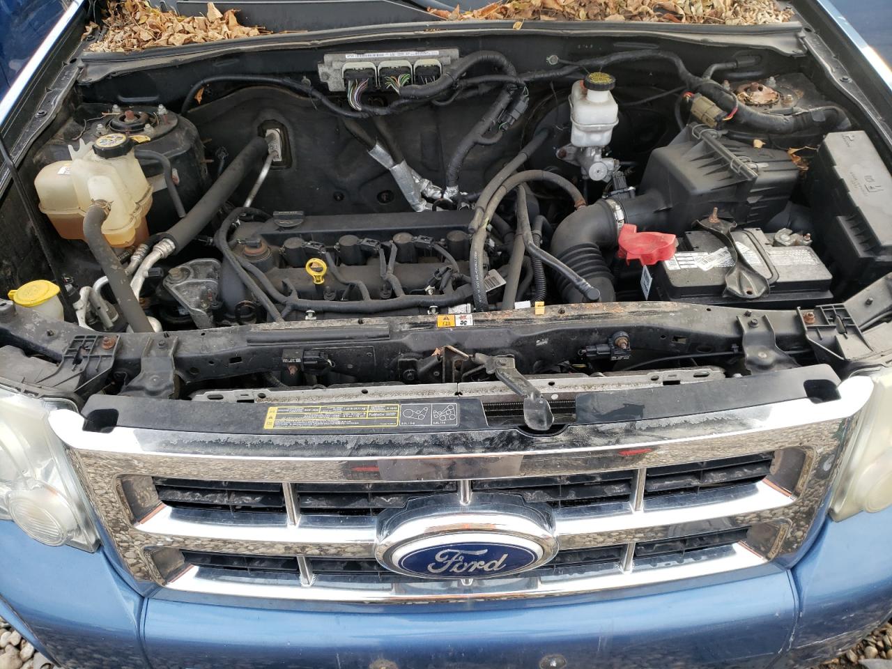 Photo 7 from auction – 2010 FORD ESCAPE XLT with VIN 1FMCU0D72AKD08085