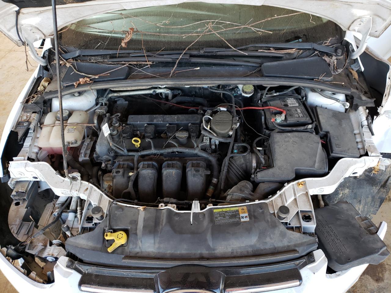 Photo 7 from auction – 2012 FORD FOCUS SEL with VIN 1FAHP3H20CL393884