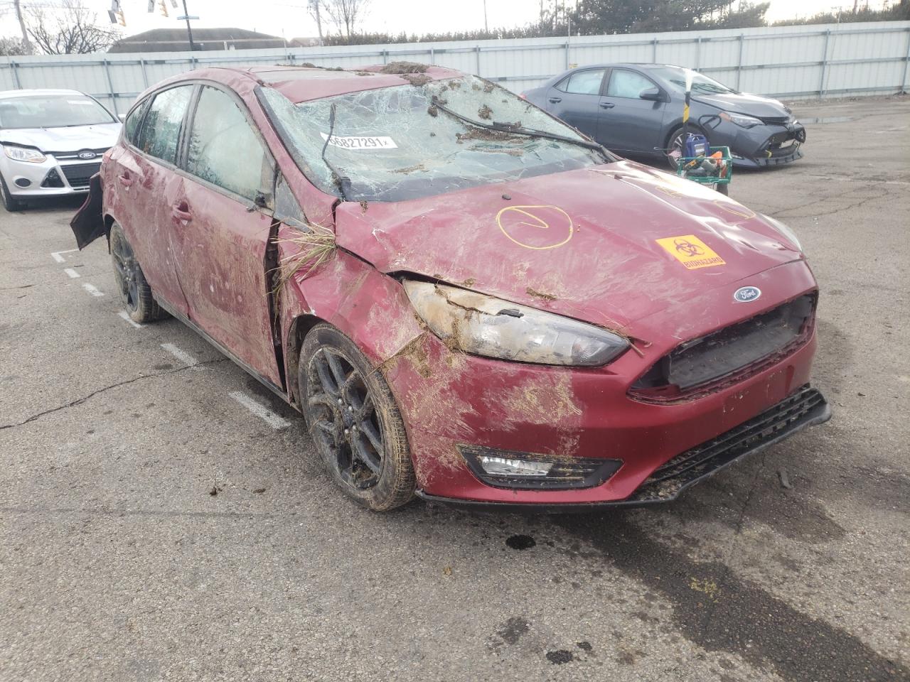 FORD FOCUS SE 2016 with VIN 1FADP3K26GL206113 - Photo from auction