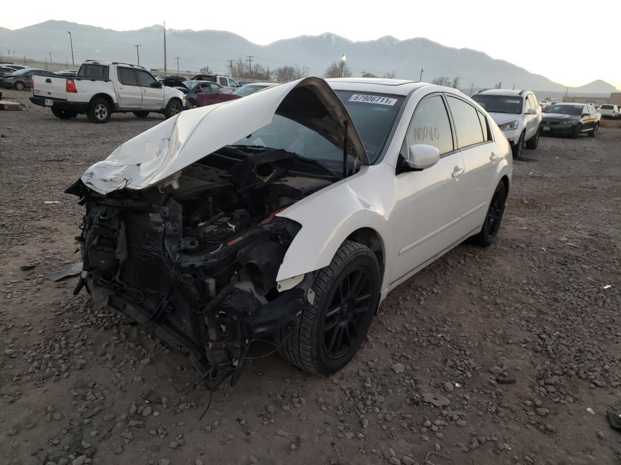 Photo 2 from auction – 2004 NISSAN MAXIMA SE with VIN 1N4BA41E84C924963