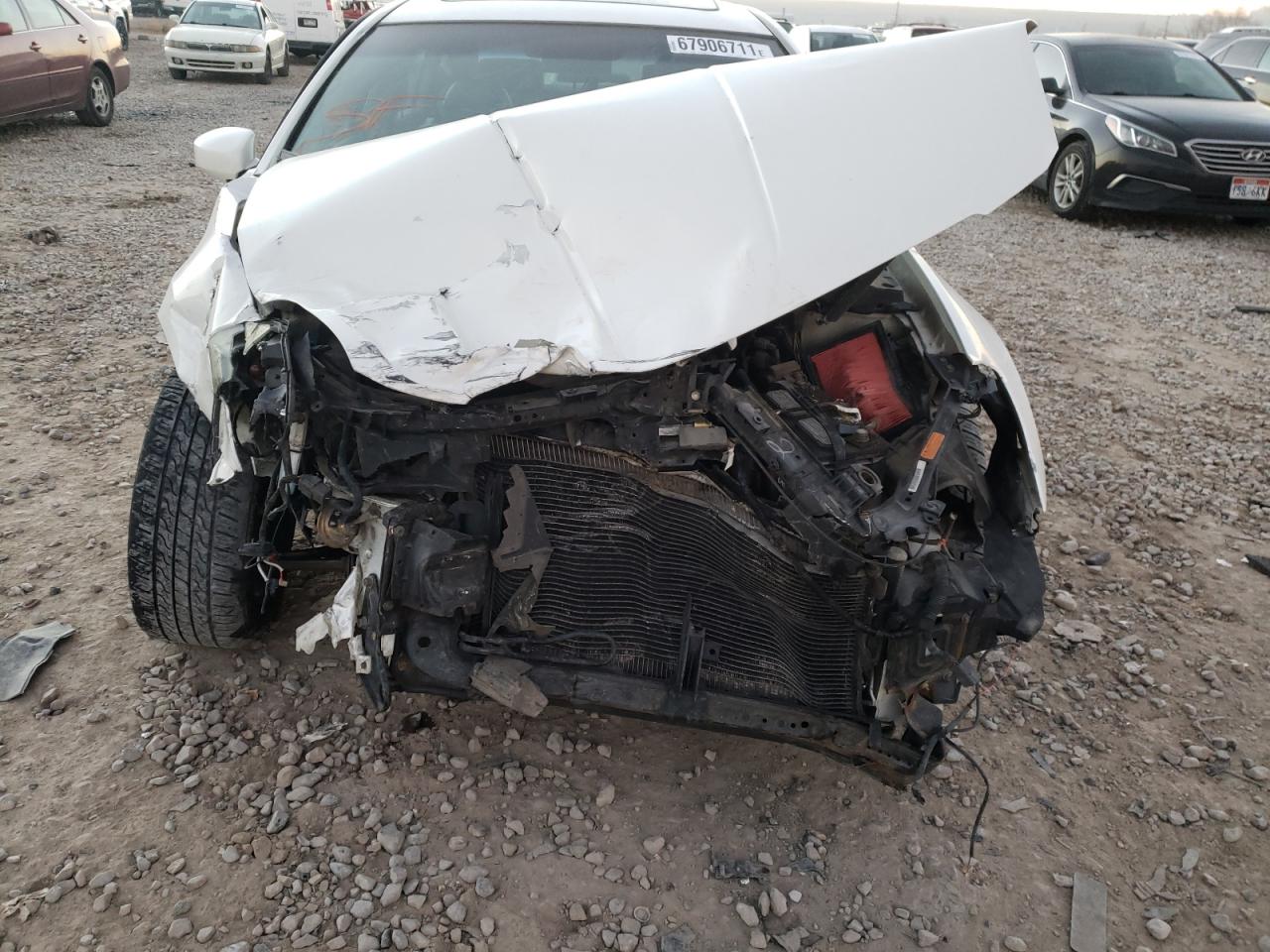 Photo 9 from auction – 2004 NISSAN MAXIMA SE with VIN 1N4BA41E84C924963