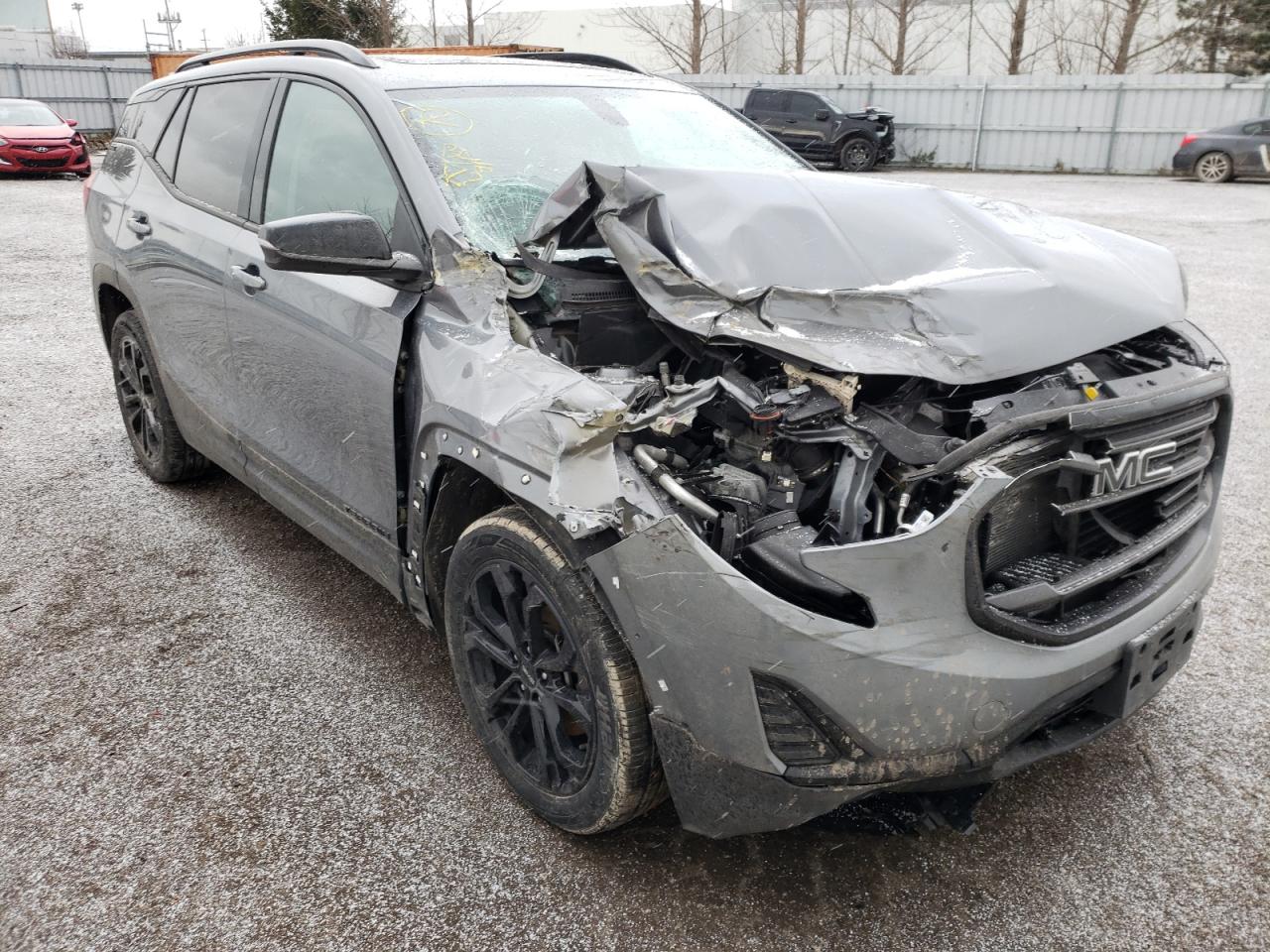 GMC TERRAIN SL 2019 with VIN 3GKALTEX9KL289571 - Photo from auction