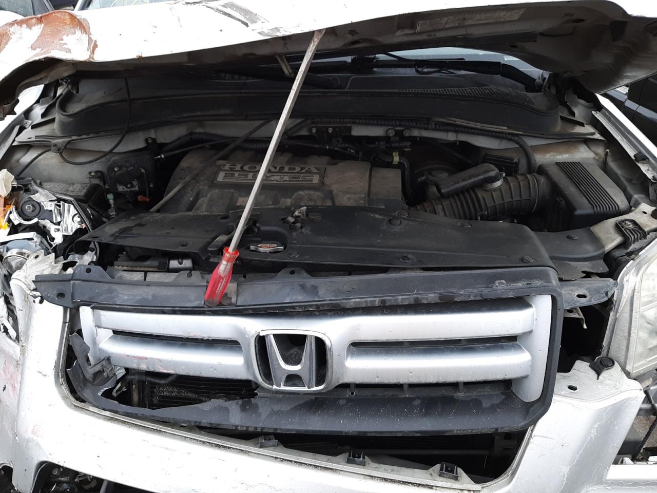 Photo 7 from auction – 2007 HONDA PILOT with VIN 5FNYF286X7B030012
