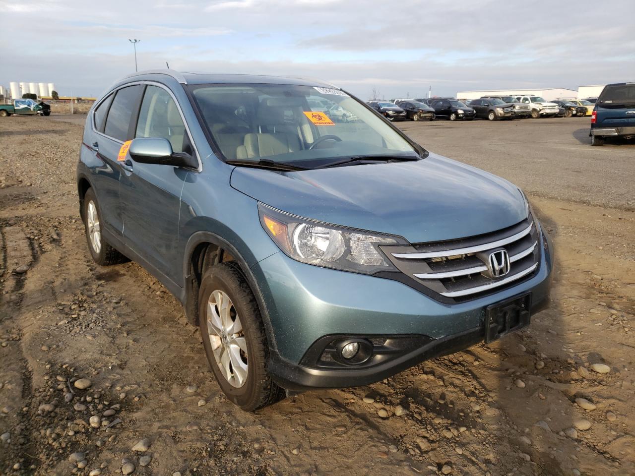 HONDA CR-V EXL 2013 with VIN 5J6RM4H76DL022894 - Photo from auction