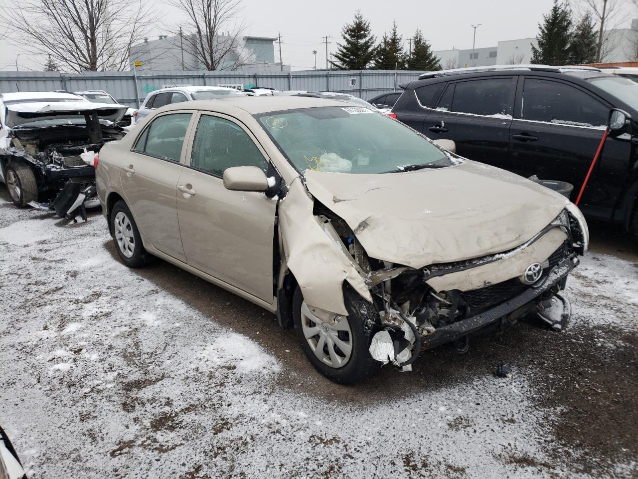 TOYOTA COROLLA BA 2010 with VIN 2T1BU4EE0AC367268 - Photo from auction