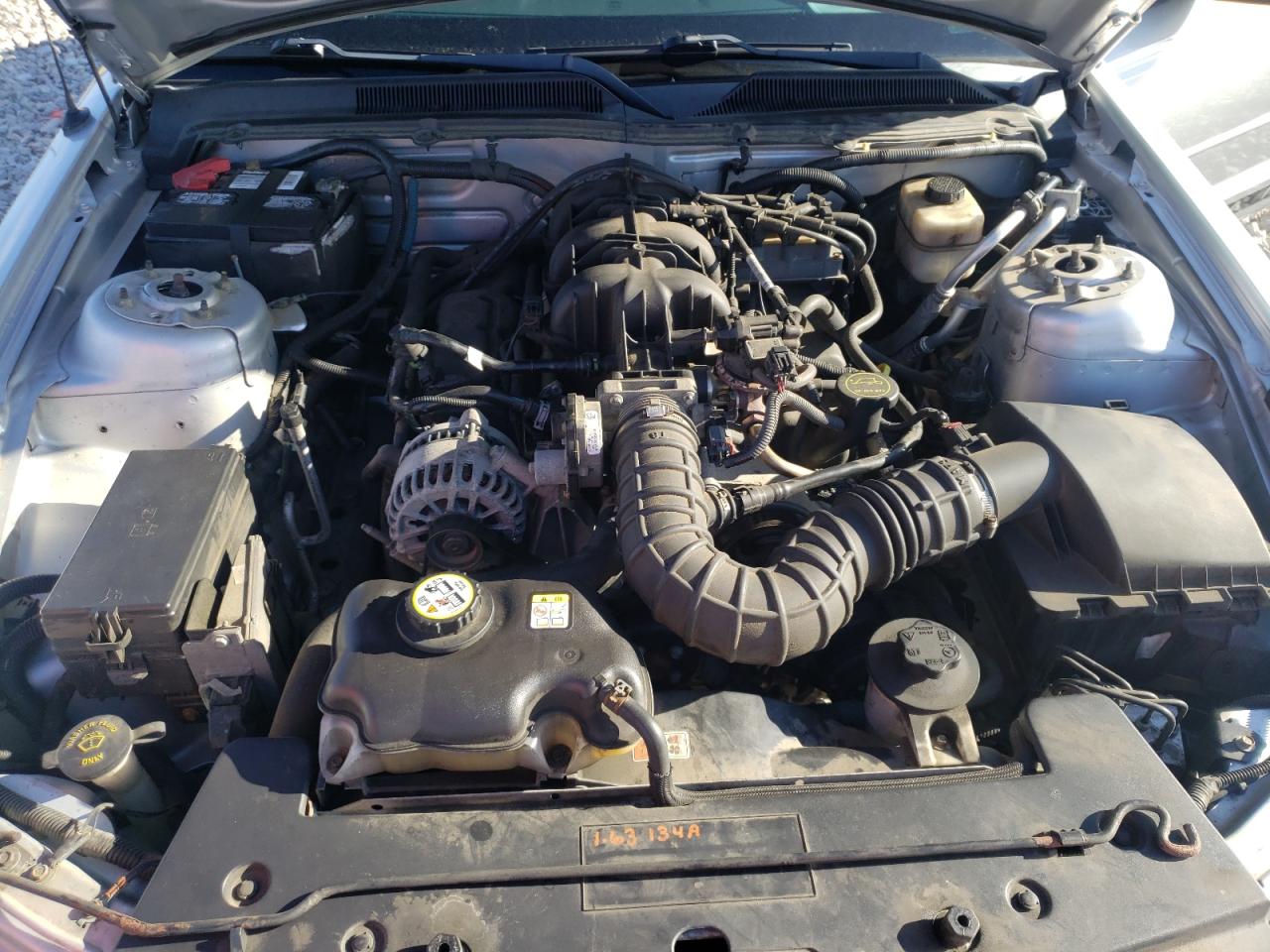 Photo 7 from auction – 2008 FORD MUSTANG with VIN 1ZVHT80N885207249