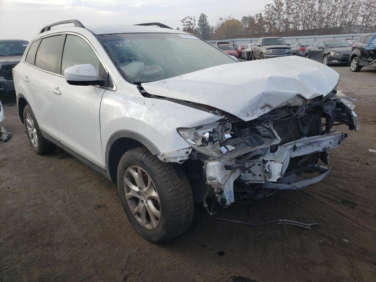 MAZDA CX-9 2011 with VIN JM3TB2CV9B0327548 - Photo from auction
