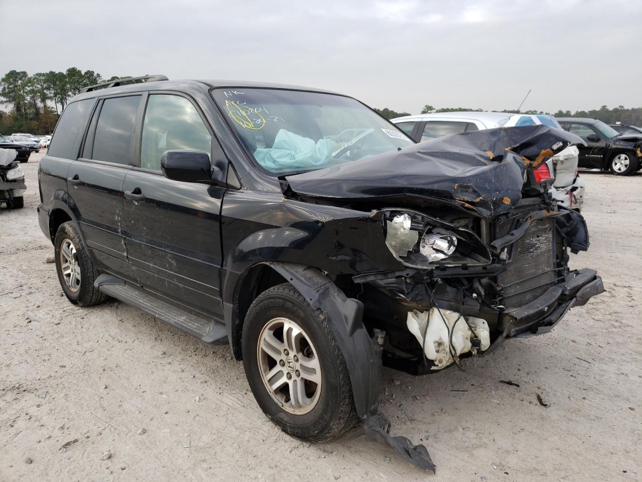 HONDA PILOT EXL 2004 with VIN 5FNYF18504B007500 - Photo from auction