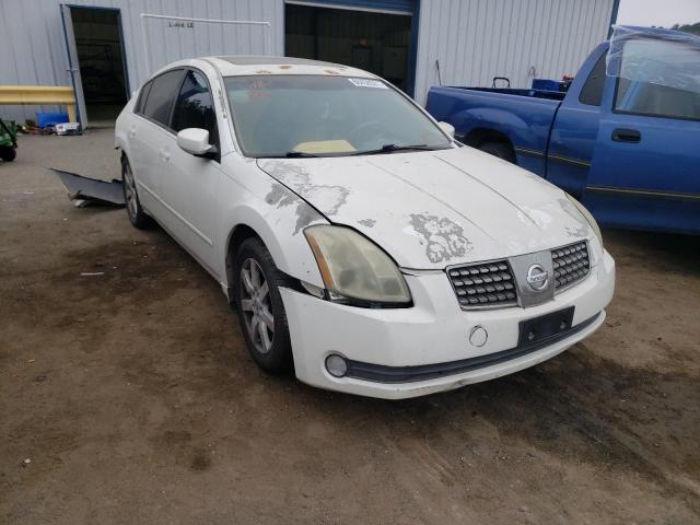 NISSAN MAXIMA SE 2005 with VIN 1N4BA41E25C843670 - Photo from auction