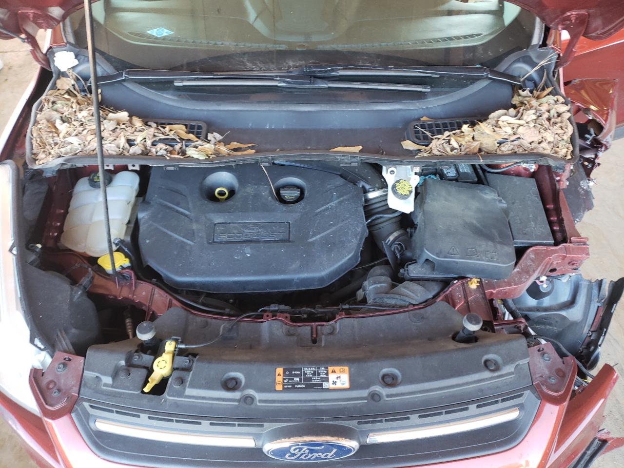 Photo 7 from auction – 2015 FORD ESCAPE SE with VIN 1FMCU0G94FUC90066