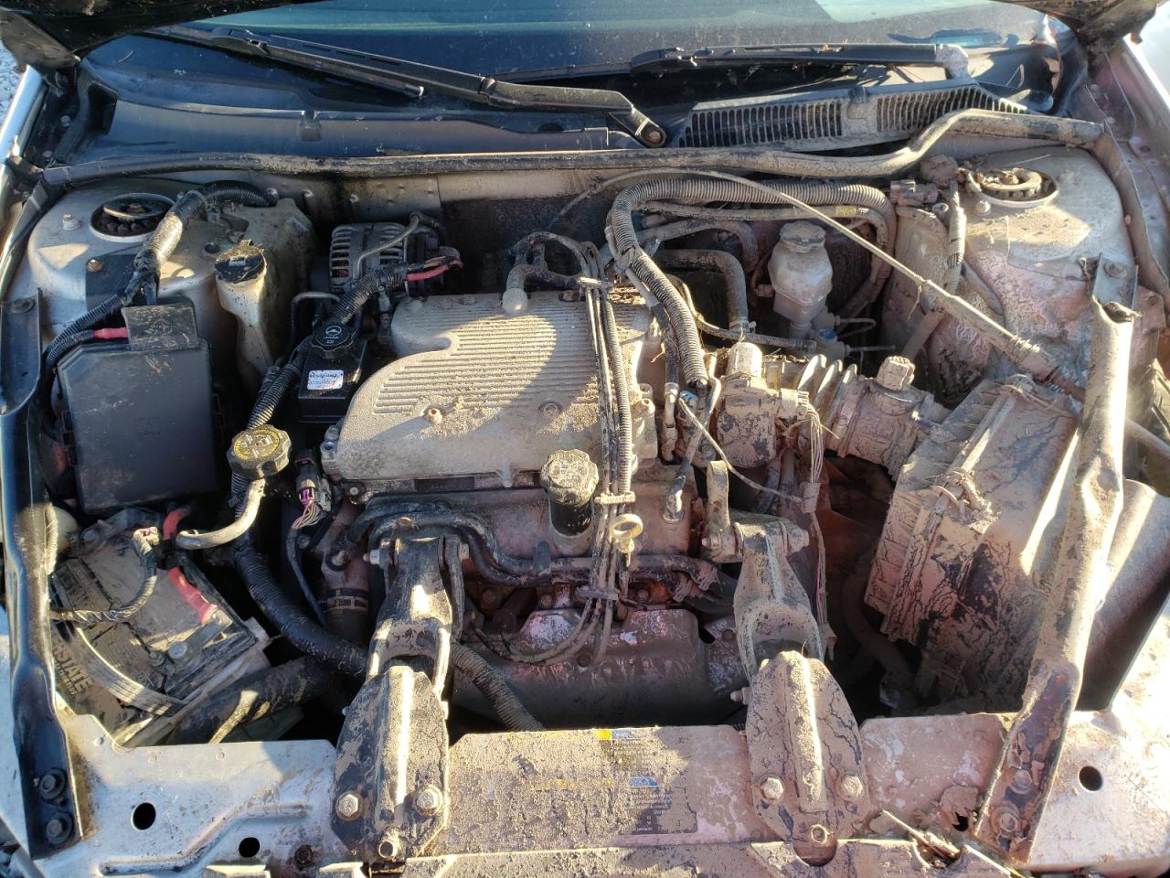 Photo 7 from auction – 2008 CHEVROLET IMPALA LS with VIN 2G1WB55K889192001