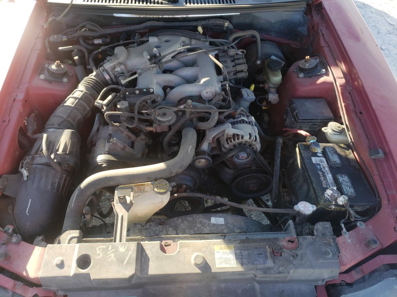 Photo 7 from auction – 2003 FORD MUSTANG with VIN 1FAFP40413F434242