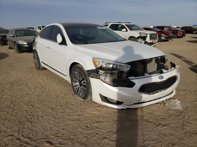 KIA CADENZA PR 2014 with VIN KNALN4D70E5129361 - Photo from auction