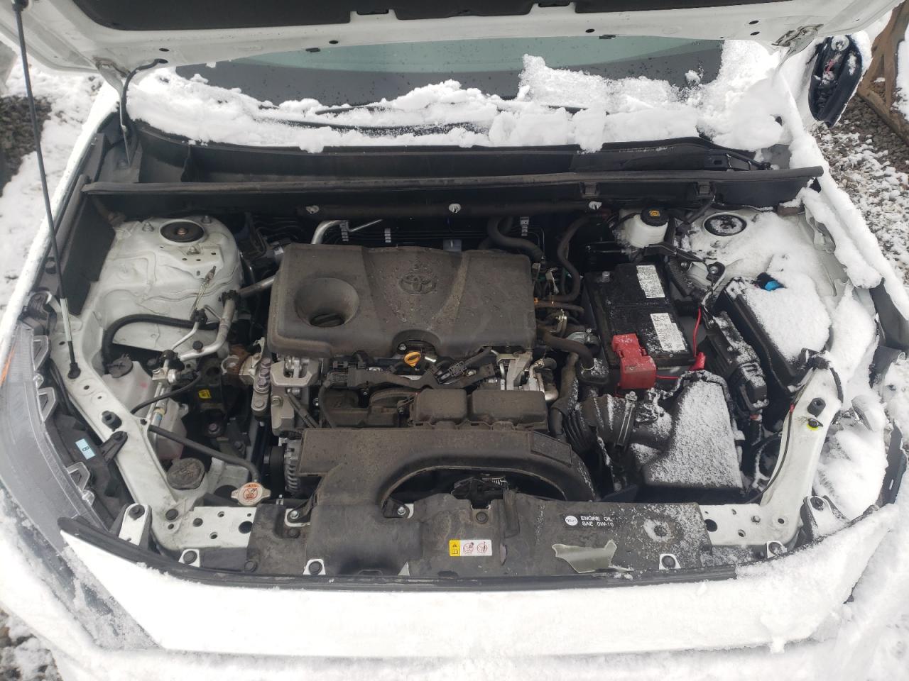 Photo 7 from auction – 2021 TOYOTA RAV4 LE with VIN 2T3F1RFV4MC156379