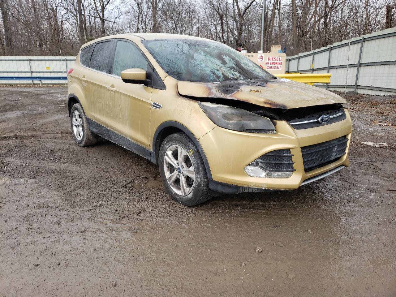 FORD ESCAPE SE 2014 with VIN 1FMCU0GX4EUB95858 - Photo from auction