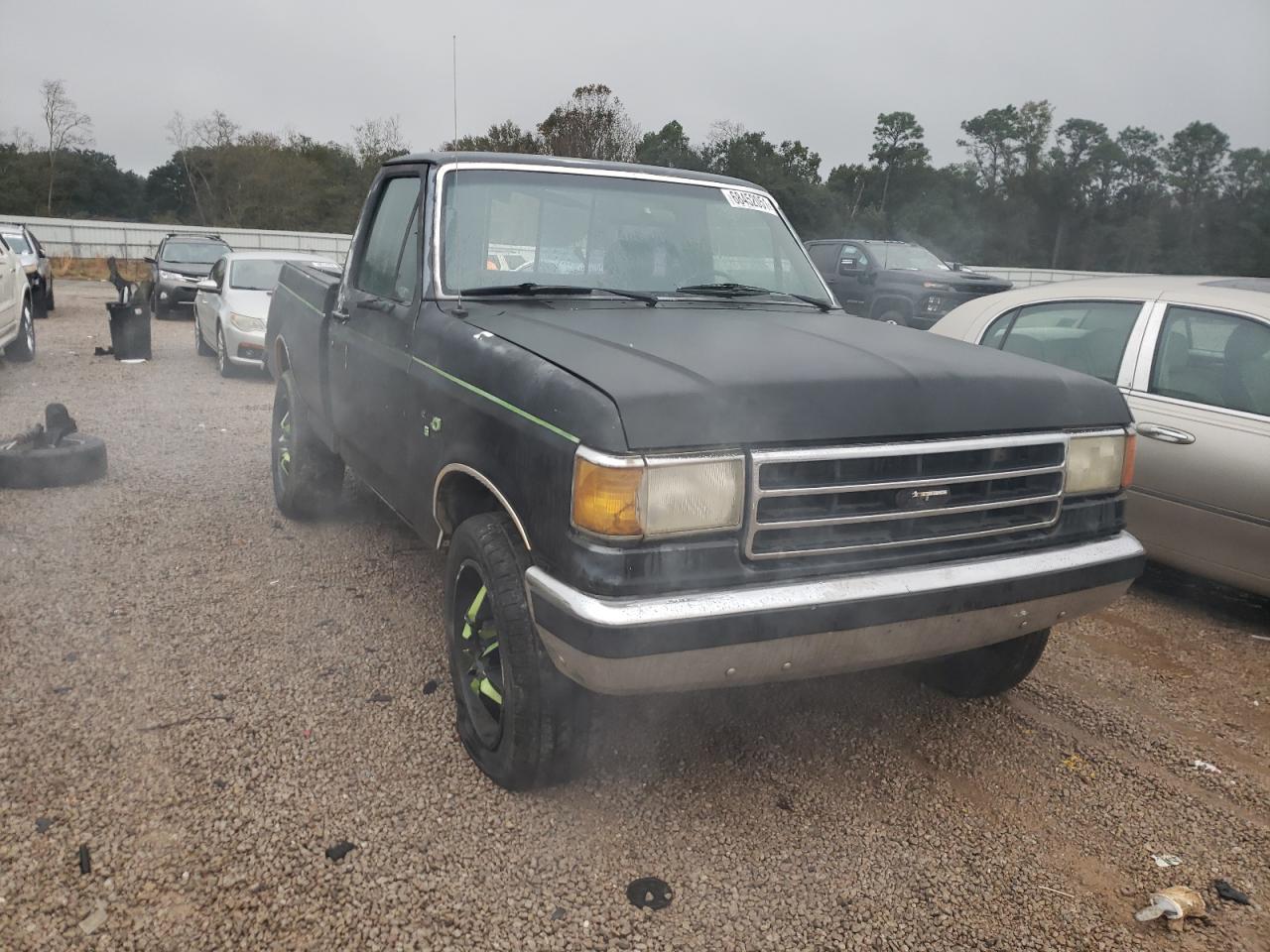 FORD F150 1991 with VIN 1FTDF15N9MNB01332 - Photo from auction