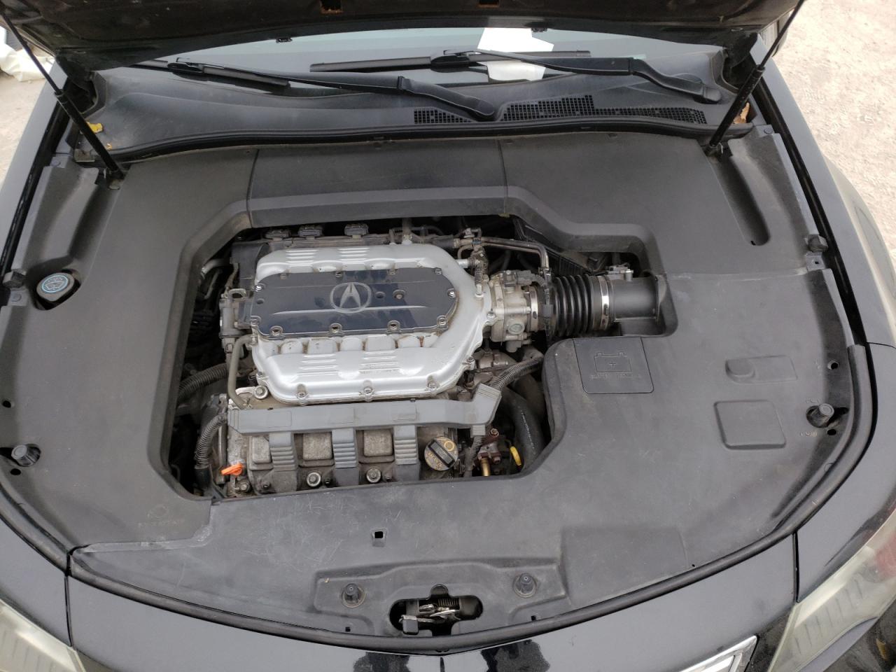 Photo 7 from auction – 2012 ACURA TL with VIN 19UUA8F20CA032601