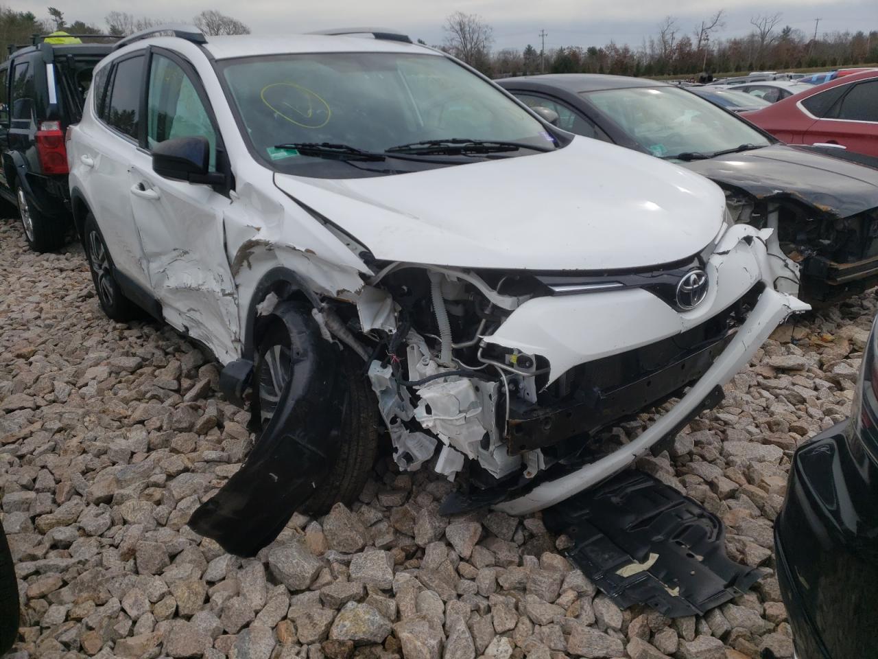 TOYOTA RAV4 LE 2016 with VIN 2T3BFREV1GW497808 - Photo from auction