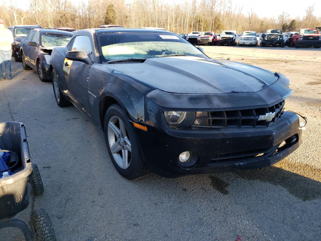 CHEVROLET CAMARO LT 2010 with VIN 2G1FB1EV3A9130899 - Photo from auction