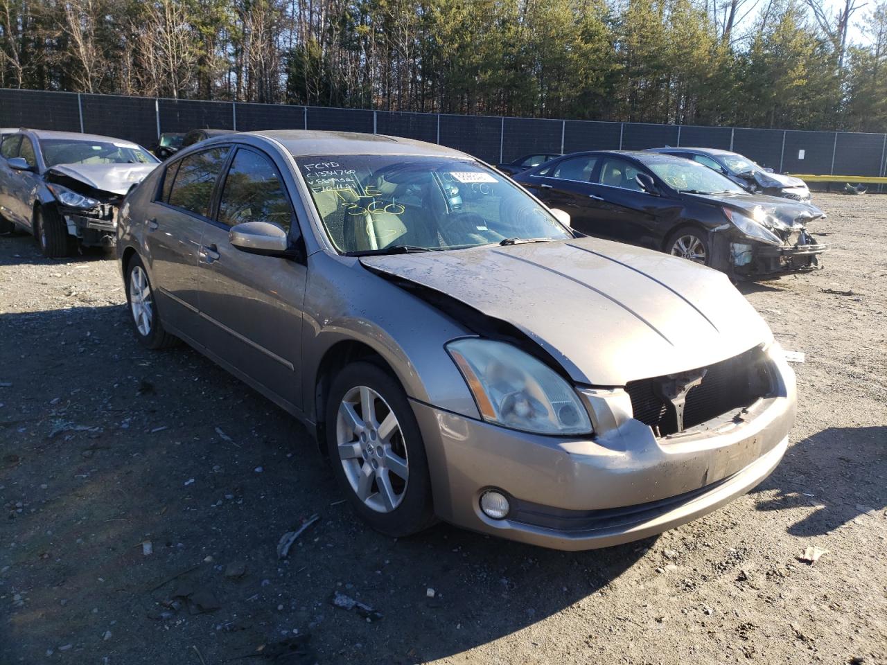 NISSAN MAXIMA SE 2004 z numerem VIN 1N4BA41E24C889952 - Zdjęcie z aukcji