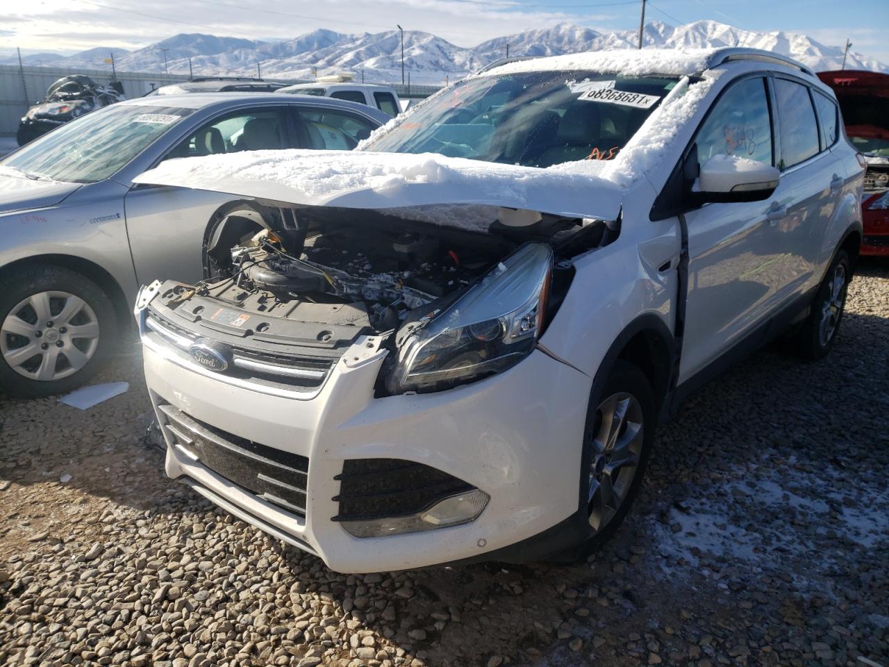 Photo 2 from auction – 2014 FORD ESCAPE TIT with VIN 1FMCU0JX1EUA05524