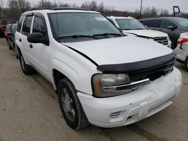 CHEVROLET TRAILBLAZE 2008 with VIN 1GNDT13S082219804 - Photo from auction