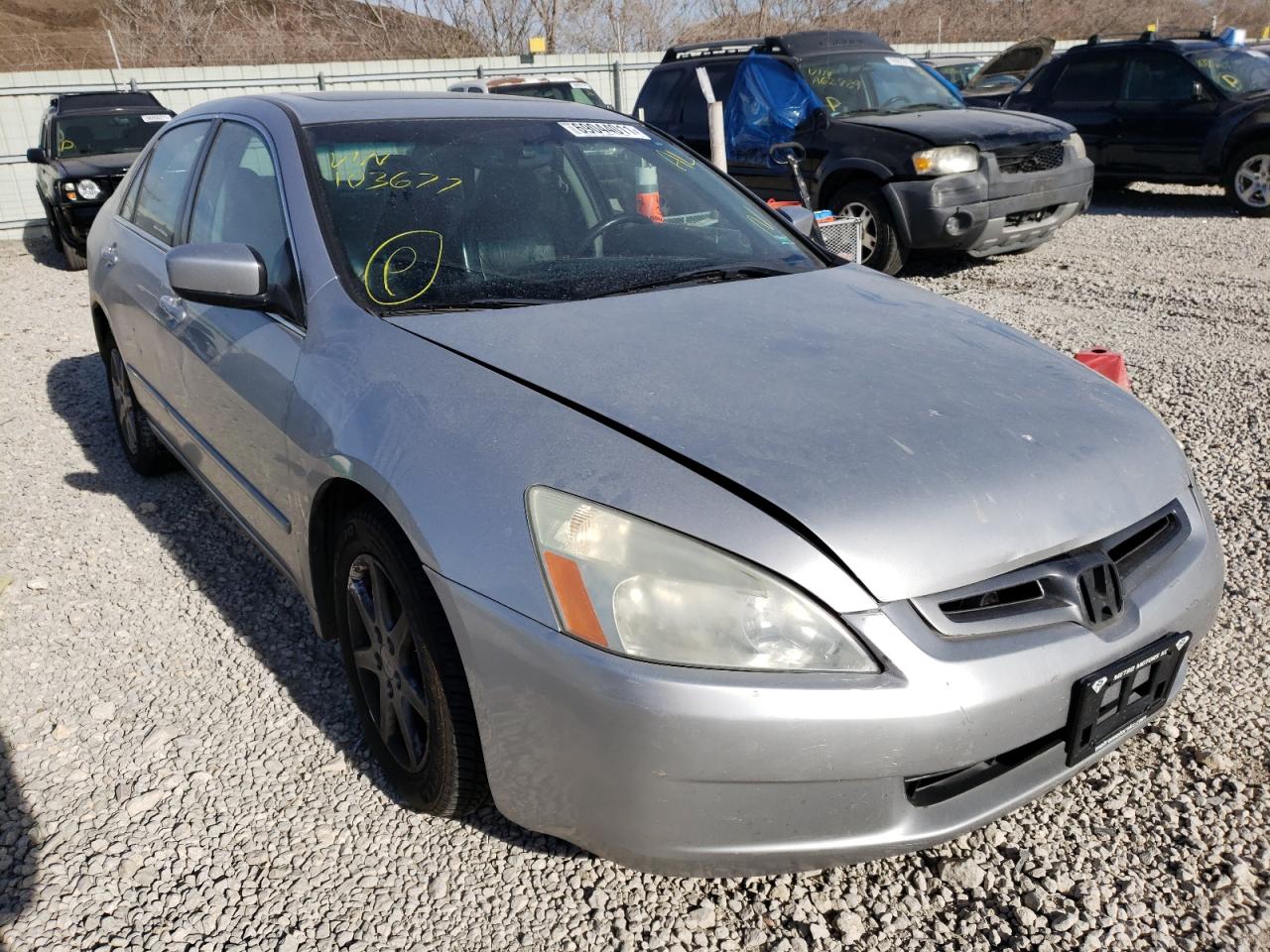 HONDA ACCORD EX 2003 with VIN 1HGCM66533A103677 - Photo from auction