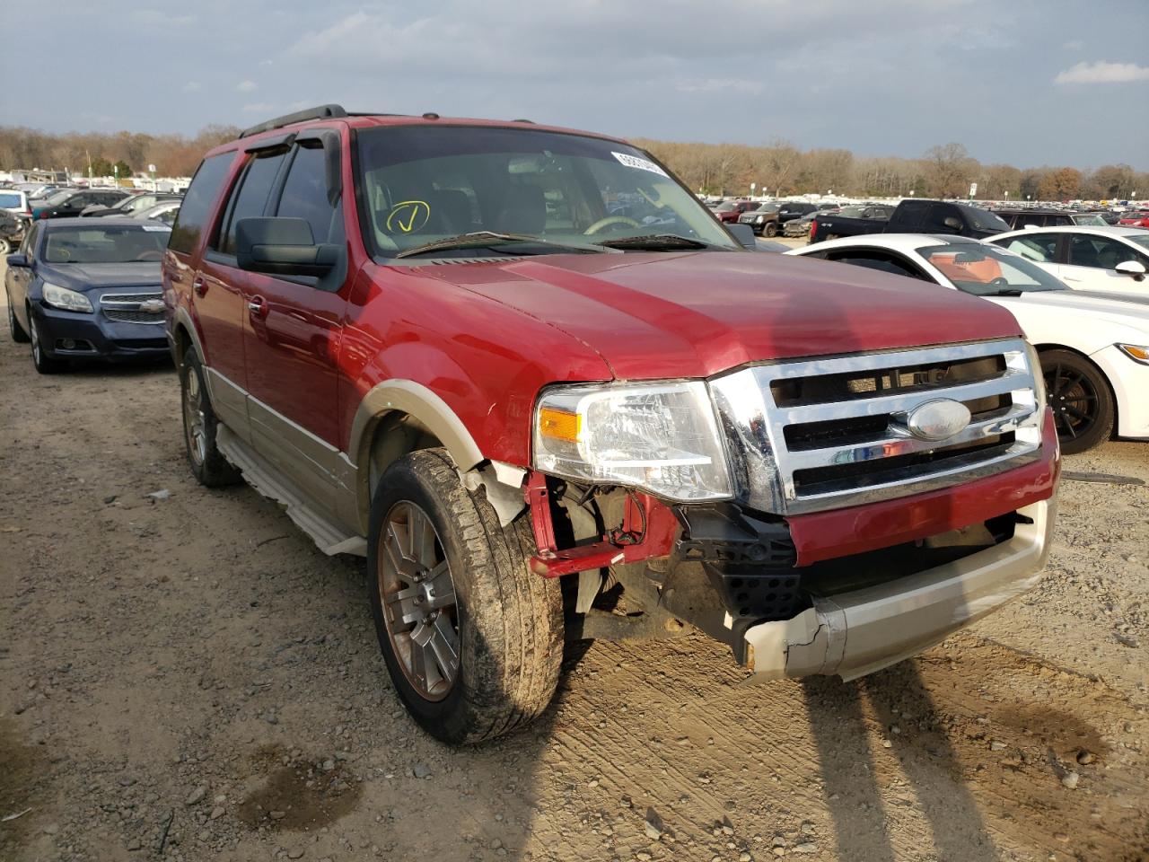 FORD EXPEDITION 2009 with VIN 1FMFU17529LA02149 - Photo from auction