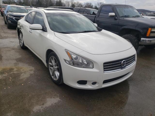 NISSAN MAXIMA S 2010 with VIN 1N4AA5AP1AC813475 - Photo from auction