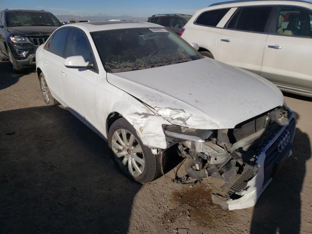AUDI A4 PREMIUM 2014 with VIN WAUAFAFL7EN002958 - Photo from auction