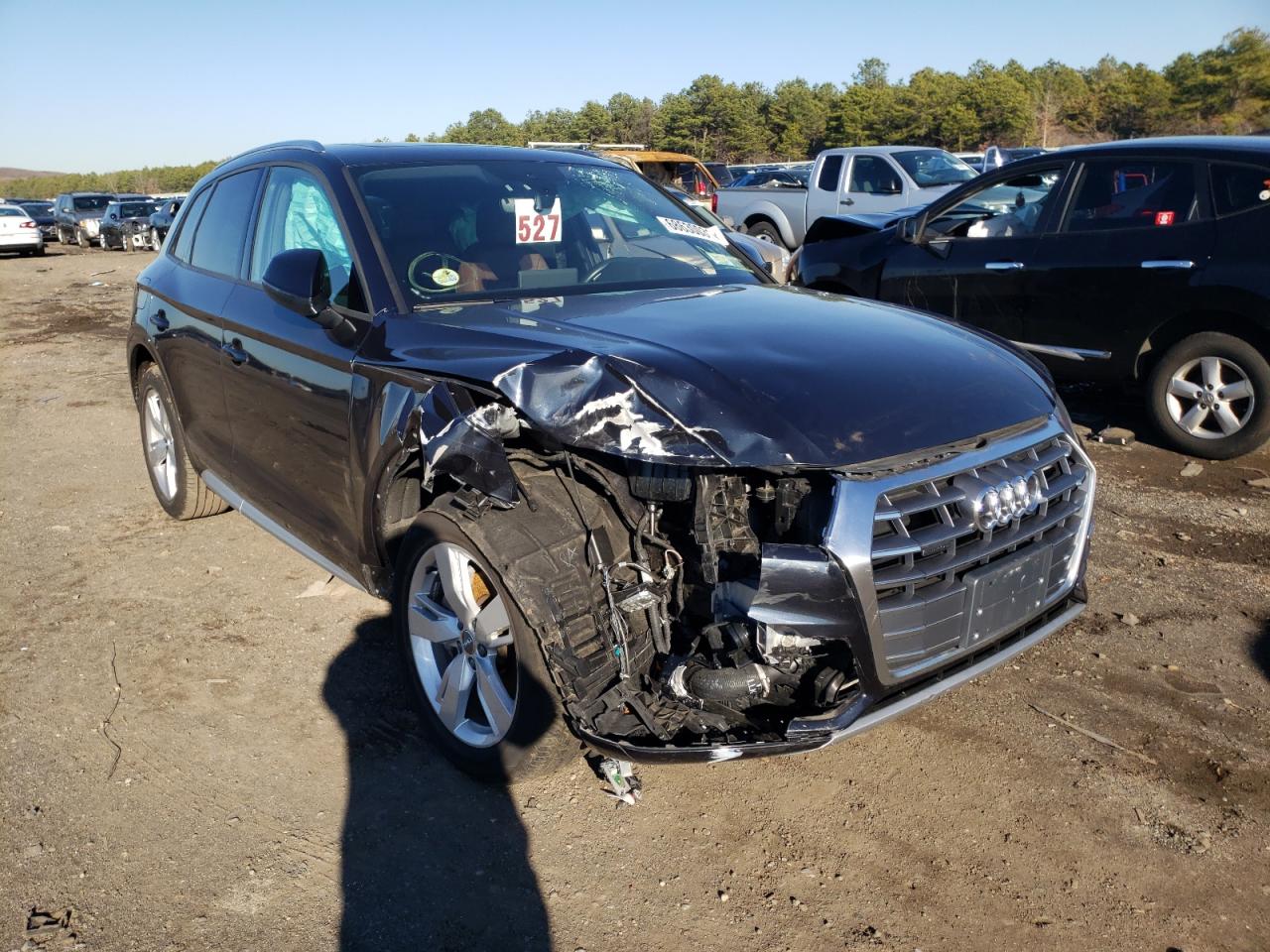 AUDI Q5 PREMIUM 2018 with VIN WA1ANAFY0J2233644 - Photo from auction