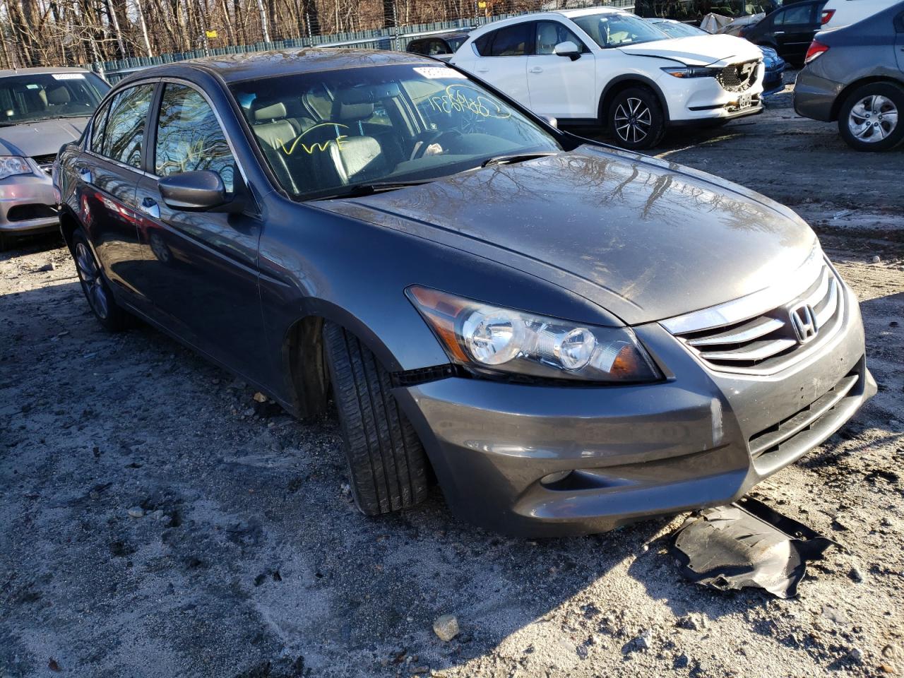HONDA ACCORD EXL 2011 with VIN 1HGCP3F80BA013207 - Photo from auction