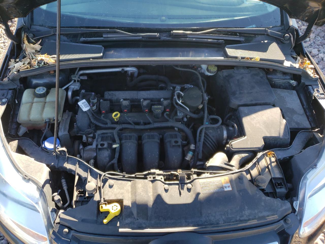 Photo 7 from auction – 2013 FORD FOCUS SE with VIN 1FADP3F21DL103283