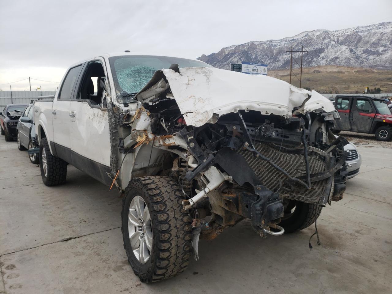 FORD F150 SUPER 2011 with VIN 1FTFW1EF5BFA89690 - Photo from auction