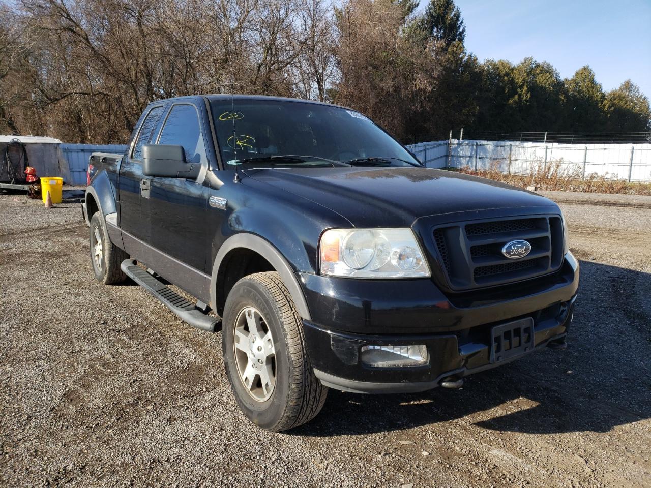 FORD F150 2004 with VIN 1FTPX14524NB03676 - Photo from auction