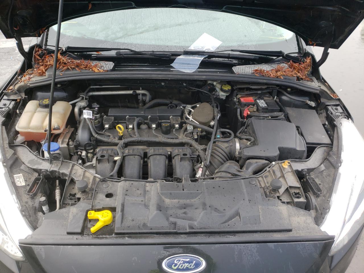Photo 7 from auction – 2015 FORD FOCUS SE with VIN 1FADP3F27FL235547