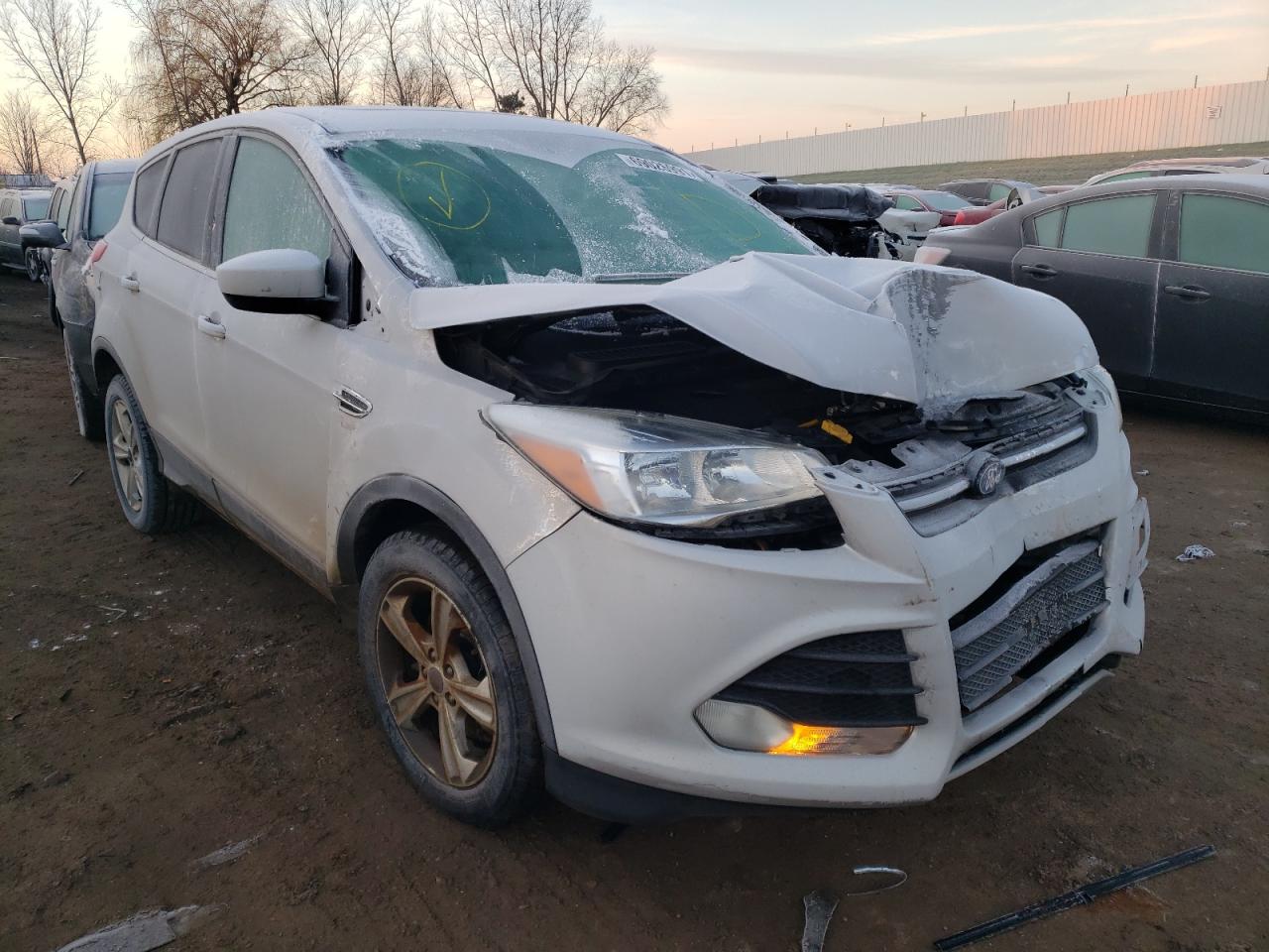 FORD ESCAPE SE 2016 with VIN 1FMCU9GX0GUC89257 - Photo from auction