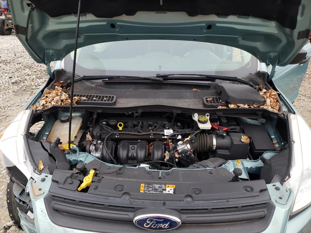 Photo 7 from auction – 2013 FORD ESCAPE S with VIN 1FMCU0F77DUD64237