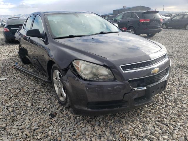 CHEVROLET MALIBU LS 2010 with VIN 1G1ZA5E06AF233284 - Photo from auction