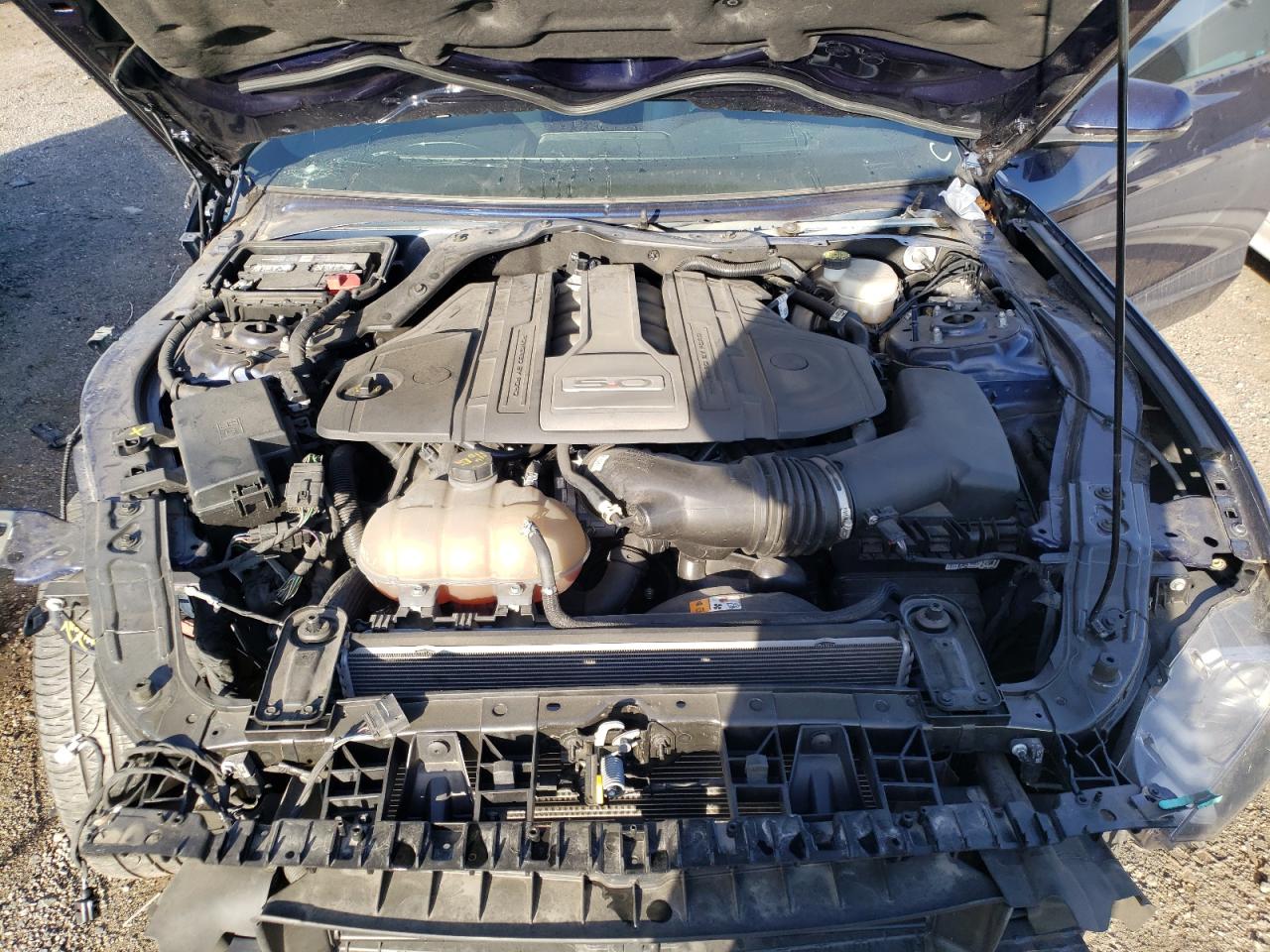 Photo 7 from auction – 2018 FORD MUSTANG GT with VIN 1FA6P8CF4J5113321