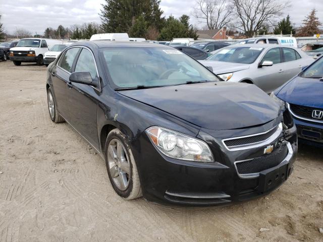CHEVROLET MALIBU 2LT 2011 with VIN 1G1ZD5E16BF202876 - Photo from auction