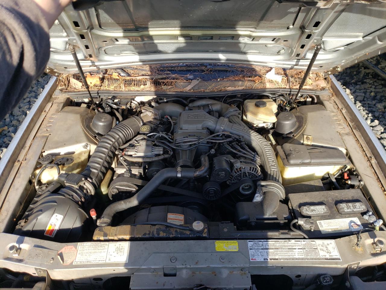 Photo 7 from auction – 1990 FORD THUNDERBIR with VIN 1FAPP64R9LH189913