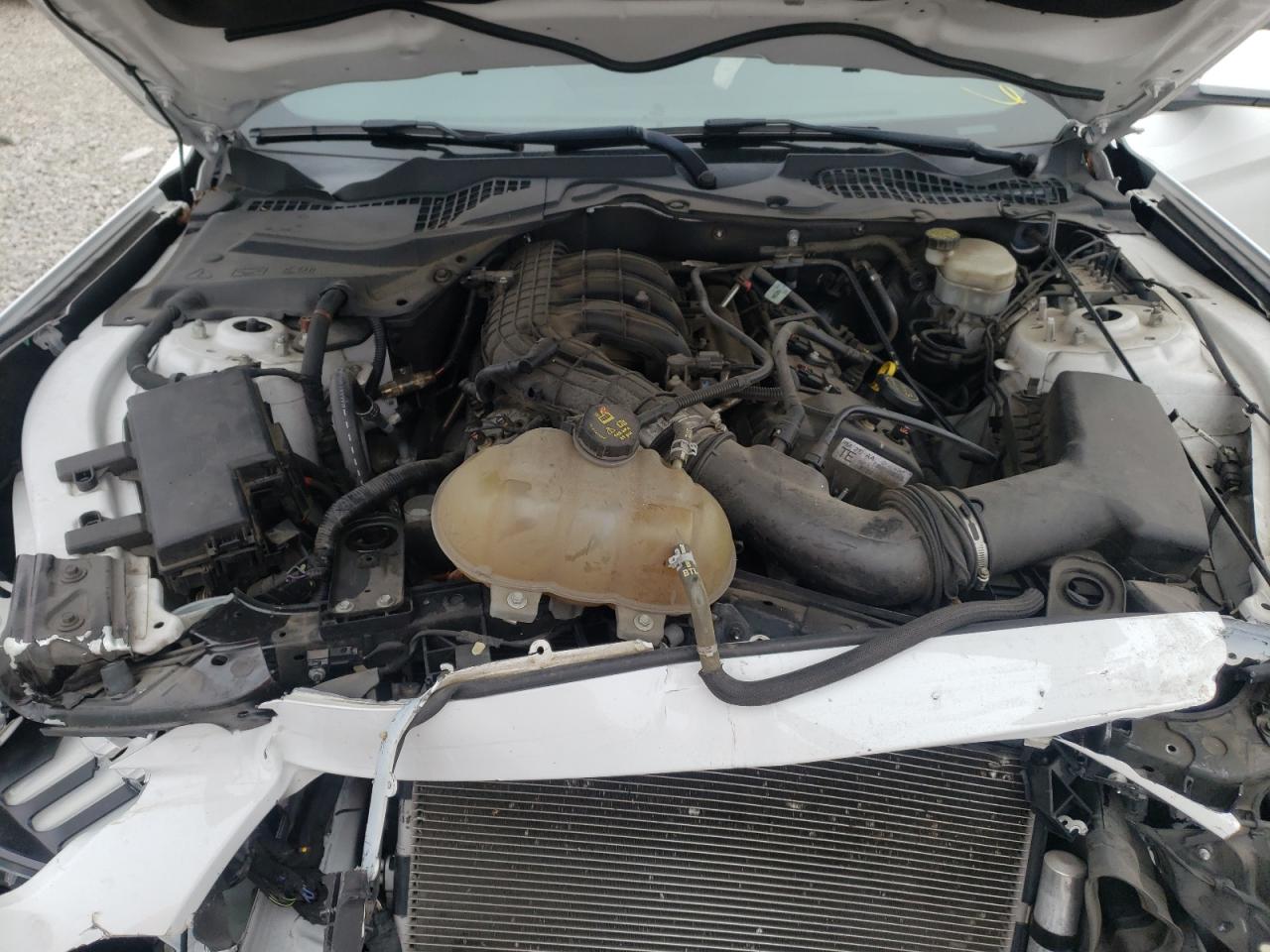 Photo 7 from auction – 2015 FORD MUSTANG with VIN 1FA6P8AMXF5353059