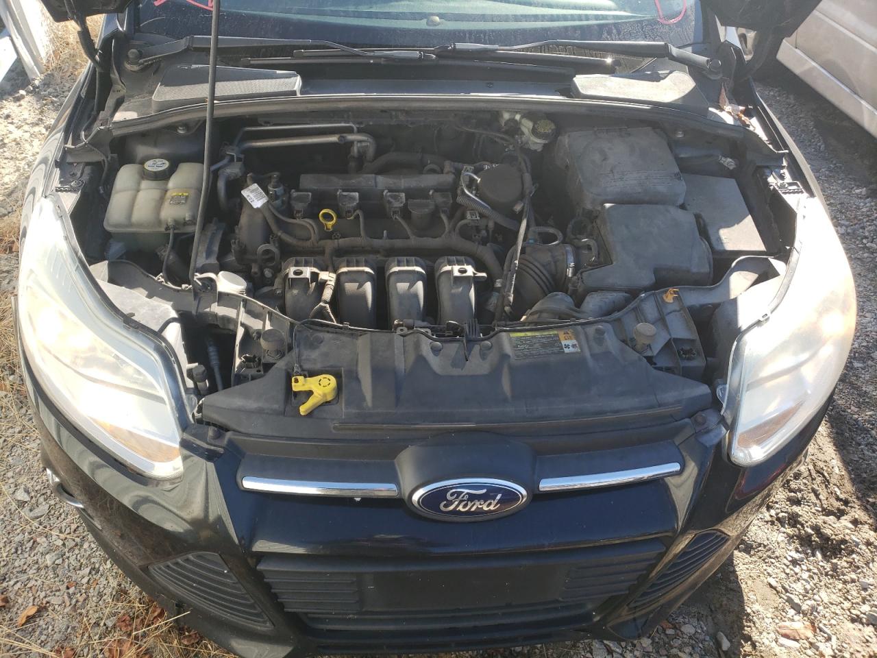 Photo 7 from auction – 2012 FORD FOCUS SE with VIN 1FAHP3F2XCL387531