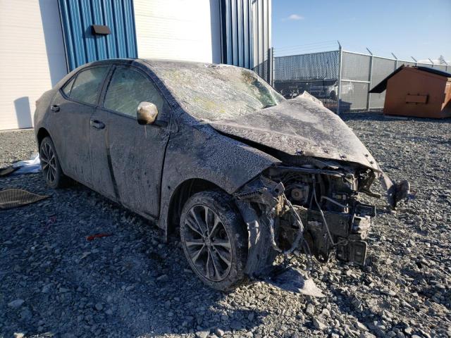 TOYOTA COROLLA L 2019 with VIN 2T1BURHE5KC172261 - Photo from auction