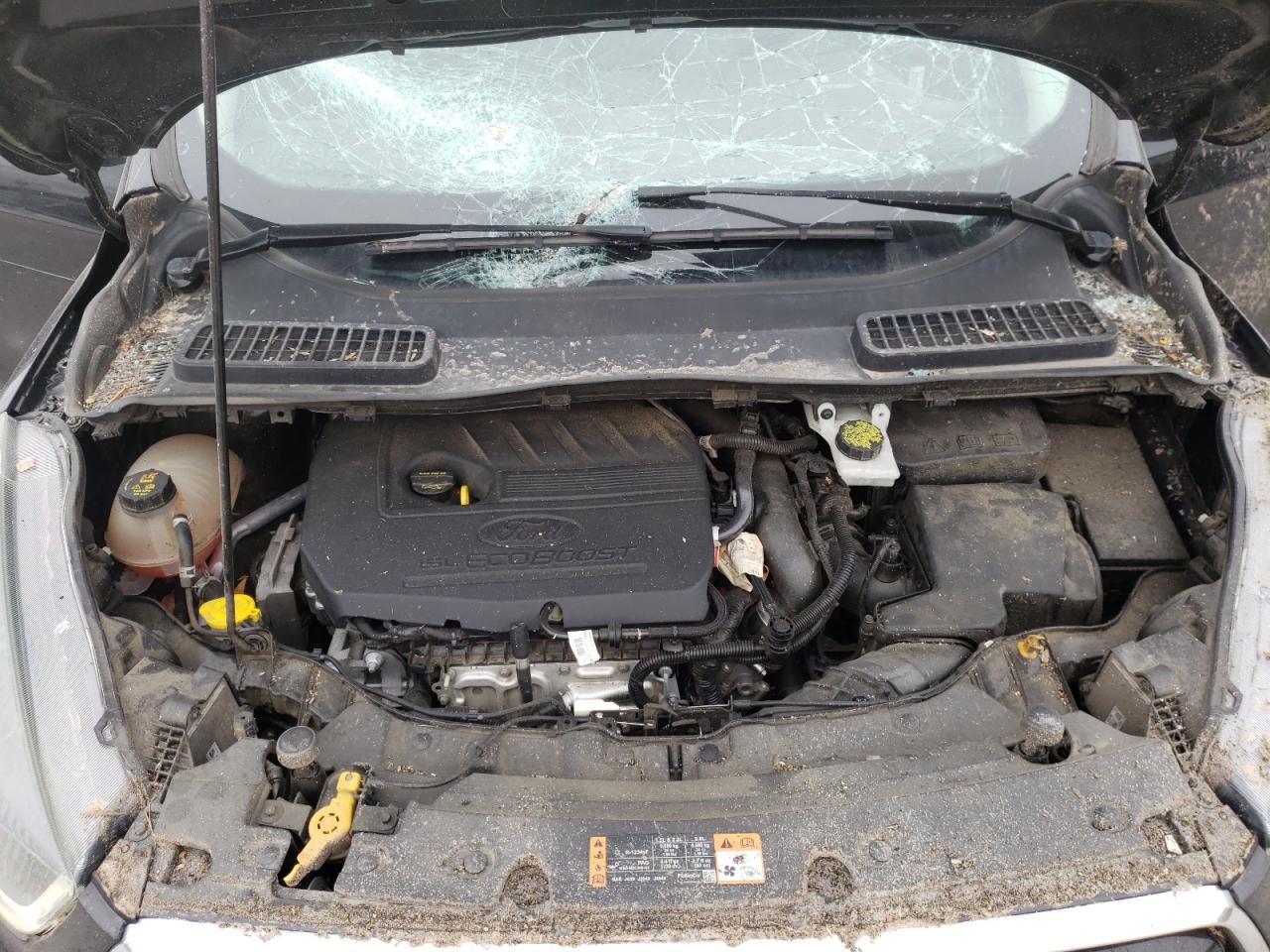 Photo 7 from auction – 2017 FORD ESCAPE SE with VIN 1FMCU0GD1HUA03807