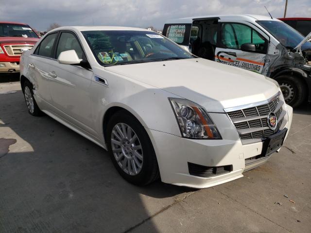 CADILLAC CTS LUXURY 2011 with VIN 1G6DE5EY9B0137331 - Photo from auction